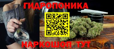 твердый Гусев