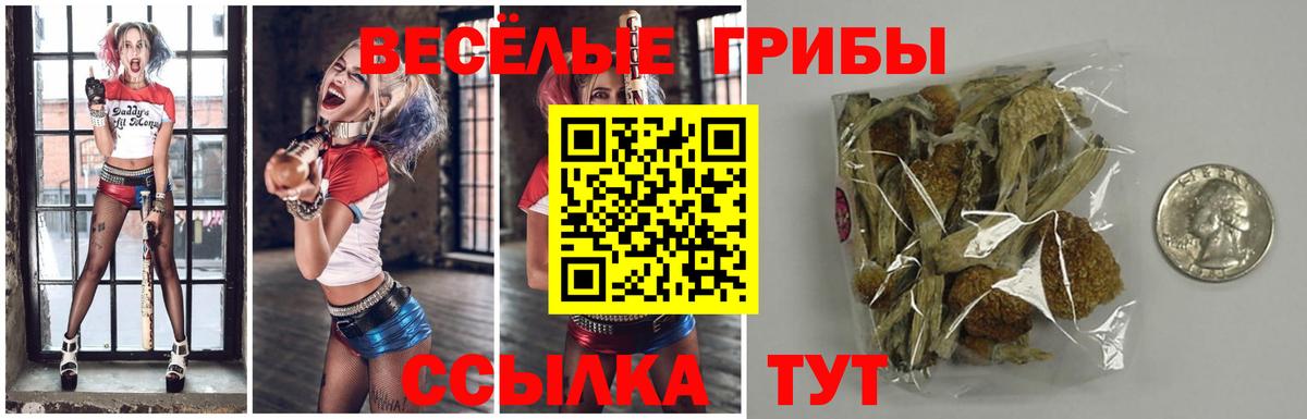 Псилоцибиновые грибы прущие грибы  Псилоцибиновые грибы мухоморы  Вход с VPN  Нарьян-Мар 